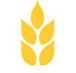 Gibson  Co - Accountants Canberra