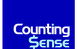 Counting Sense Bookkeeping - thumb 0