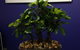 Susan Smith & Associates Pty Ltd - thumb 4
