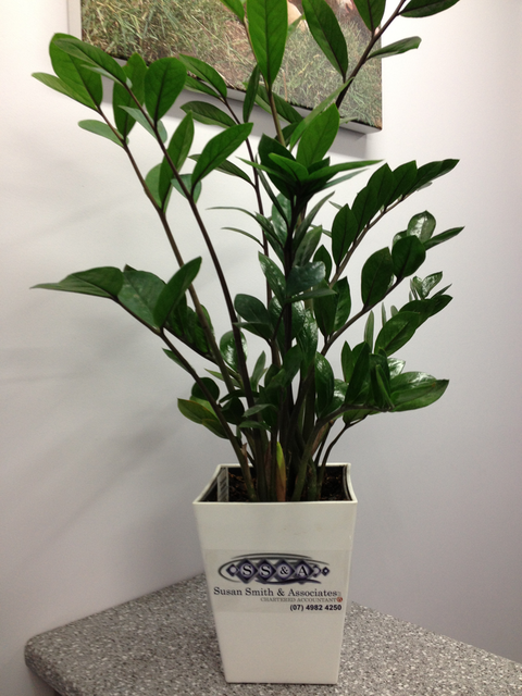 Susan Smith & Associates Pty Ltd - Accountants Canberra 8