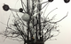 Susan Smith & Associates Pty Ltd - thumb 12