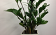 Susan Smith & Associates Pty Ltd - thumb 13