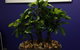Susan Smith & Associates Pty Ltd - thumb 19