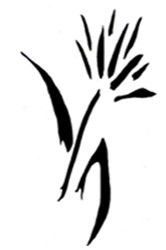  Accountants Canberra