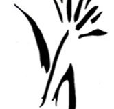 Bloomfield  Associates - Accountants Canberra