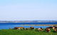 Julie Meek - Rural Bookkeeping Service - thumb 1