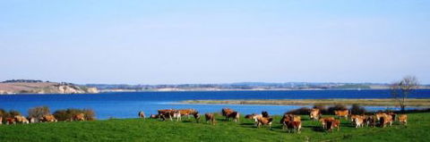 Julie Meek - Rural Bookkeeping Service - Accountants Canberra 1