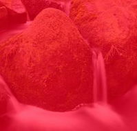 RedFrog Bookkeeping - Accountants Canberra
