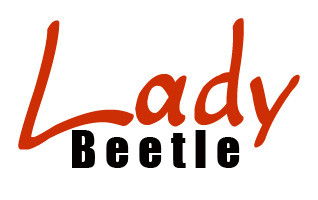 Lady Beetle Business Solutions - Accountants Canberra 0