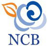 NCB Business Bookkeeping Services - Accountants Canberra
