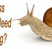 Avance - Accountants Canberra