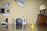 Accountant Listing Partner Insurance Yet