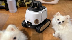 AI robot may stop your dog from barking while you're gone Accountants Canberra