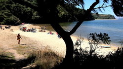 Deadly mystery unfolds as canoeists are found unresponsive after midnight trip Accountants Canberra