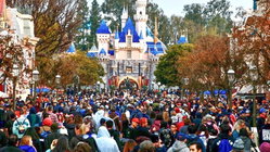 Disneyland guests left scrambling after water outage shuts bathrooms and restaurants Accountants Canberra
