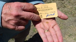 Grandfather finds hidden treasure in plain sight as park officials 'dumbfounded' by discovery Accountants Canberra