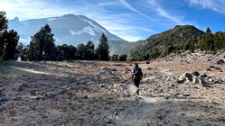Mount Shasta climber recounts harrowing 500-foot slide, overnight crawl to safety: report Accountants Canberra