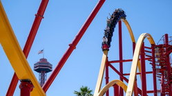 Popular amusement park bans guest for life after roller coaster stunt viral video Accountants Canberra
