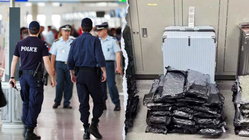 Staggering drug haul found at major airport after bizarre attempt to hide evidence Accountants Canberra