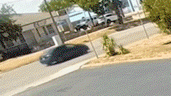 Surveillance video shows ICE chase with lights and sirens before Austin migrant shooting Accountants Canberra