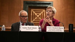 Warren defies Schumer as Dem civil war explodes over must-win Senate race Accountants Canberra